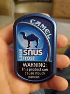 Image result for Snus Brands