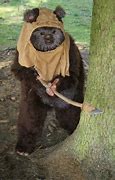 Image result for Ewok Concept Art