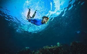 Image result for Snorkel in the Sea