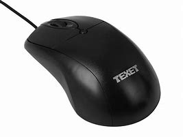 Image result for Texel Mouse