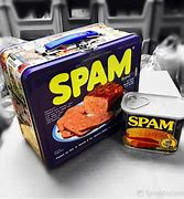 Image result for Spam Lunch