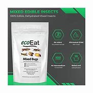 Image result for Edible Bugs Eco