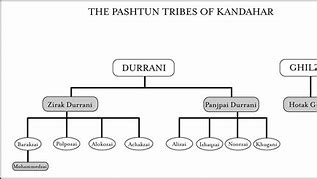 Image result for Pashtun Family Tree