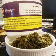 Image result for BC Kush Strain