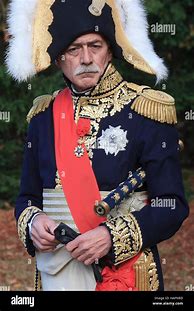 Image result for Marshal of the Empire