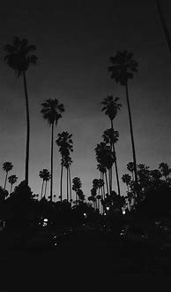 Image result for Aesthetic Black and White Picture Wall