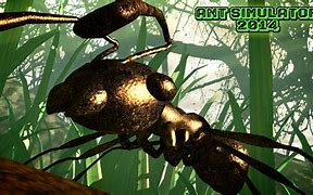 Image result for Ant Farm Pet