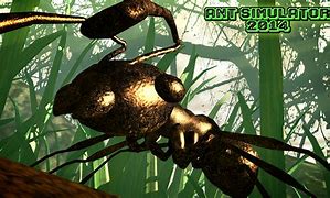 Image result for Ant Games Free