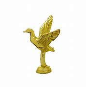 Image result for Duck Trophy