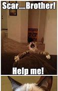 Image result for Cat as Lion Meme