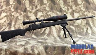 Image result for 22 250 Rifle Remington 700