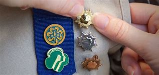 Image result for Girl Scout Eagle Awards