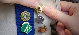 Image result for Girl Scout Awards List