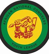 Image result for NPG ANC Logo