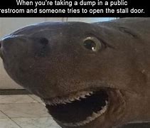 Image result for Funny Memes with No Text