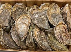 Image result for Seafood Mart