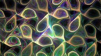 Image result for Fractal Digital Art