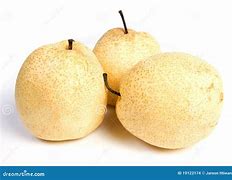 Image result for Oriental Pear Tree