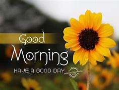 Image result for Good Morning May Your Day Be