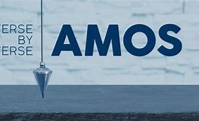 Image result for Amos Plumb Line