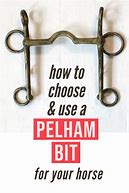 Image result for Traight Bar Pelham Bit