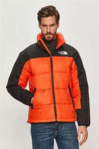 Image result for Geaca North Face Barbati