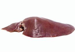 Image result for Liver