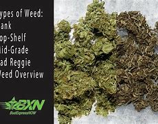 Image result for Mid Weed