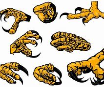 Image result for Hawk Claws