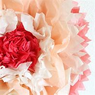 Image result for Giant Tissue Paper Flowers