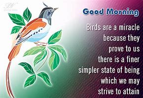 Image result for Good Day Birds