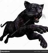 Image result for Leaping Panther