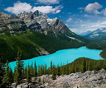 Image result for Peyto Lake Banff National Park