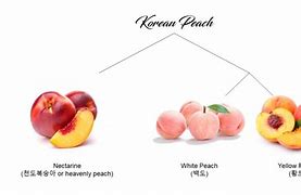 Image result for Pakistan Peach