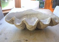 Image result for Mermaid Giant Clam Shell