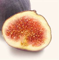 Image result for Figs Production Turkey