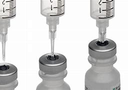 Image result for Vial Access Needle