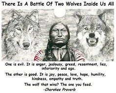 Image result for Native American Indian Wisdom