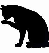 Image result for Small Black Cat in Long Grass