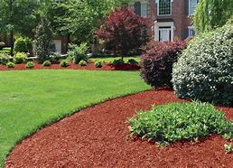 Image result for Mulch Pics