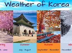 Image result for Korea Travel Tips