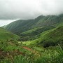 Image result for Mount Nimba Strict Nature Reserve