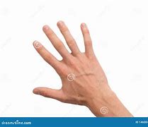 Image result for Right Hand Capitate