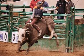 Image result for Sam Houston State University Rodeo Team