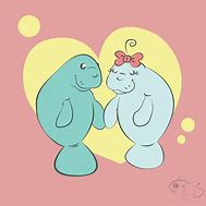 Image result for Cute Manatee