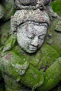 Image result for Moss Sculpture