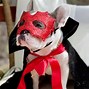 Image result for Roiped Cape Spider-Man