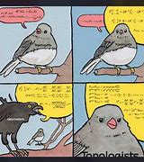 Image result for Bird Watch Meme