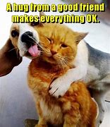 Image result for cute hug meme animals