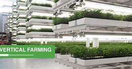 Image result for Vertical Insect Farming Industry